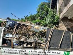 Retail Junk Removal in La Huerta, NM
